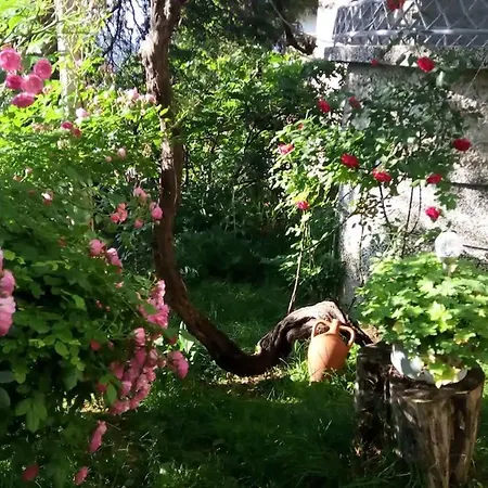 Prázdninový dům Belivanovi House