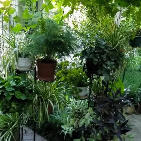 Belivanovi House Casa de Férias