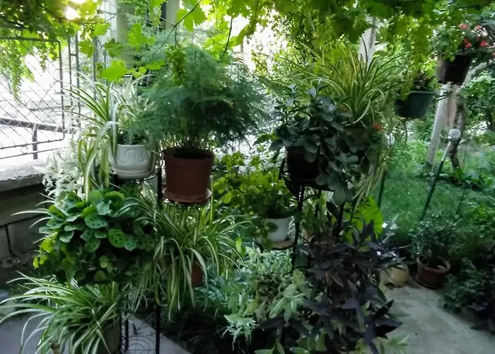 Belivanovi House Vakantiehuis